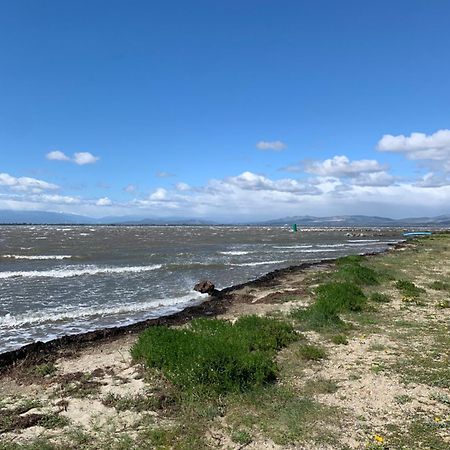 Appartement Vue Lac Marin Et Canigou 乐巴凯尔斯 外观 照片